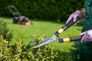 A la recherche d'un jardinier pour tailler vos haies ?